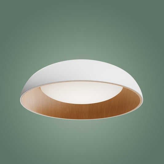 Roof Plafonyer Plain