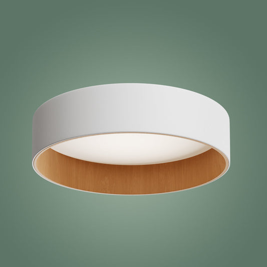 Roof Plafonyer Plain 55