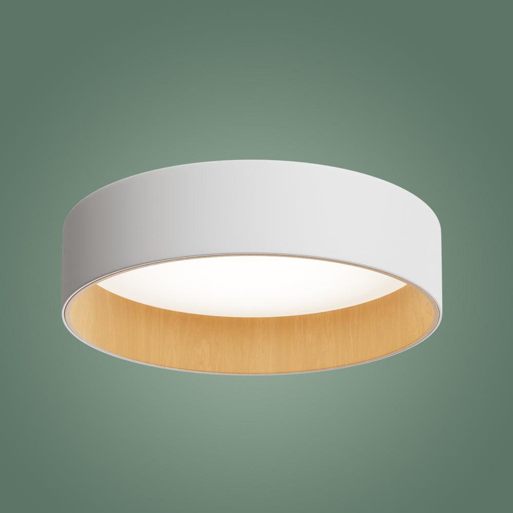 Roof Plafonyer Plain 55