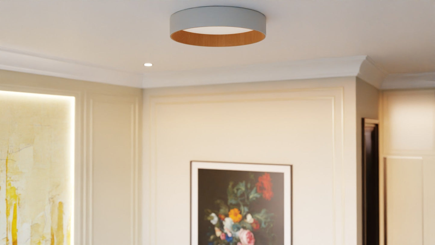Roof Plafonyer Plain 55