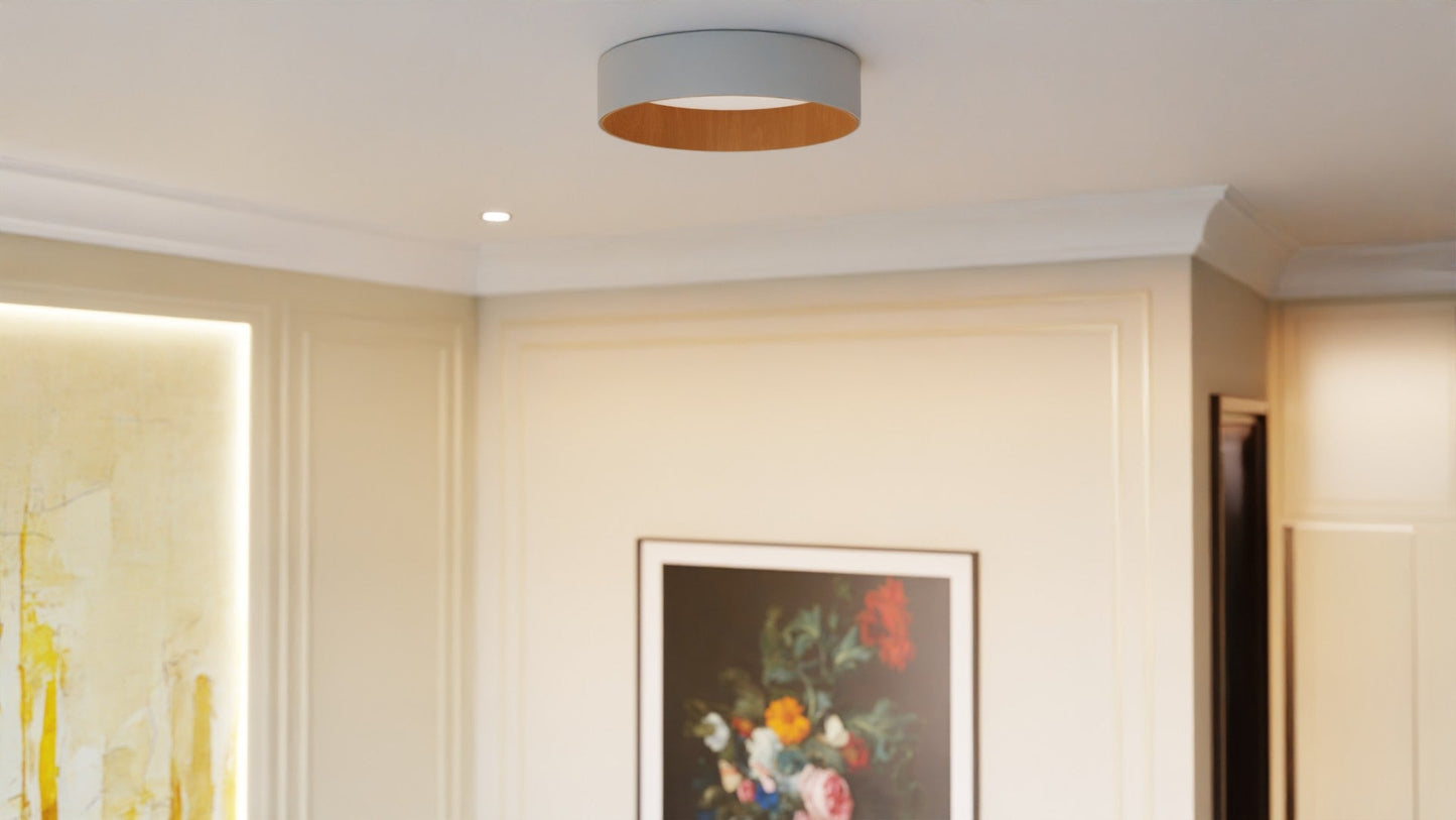 Roof Plafonyer Plain 45