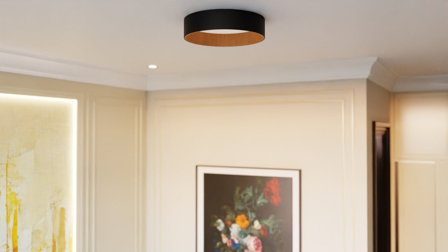 Roof Plafonyer Plain 45