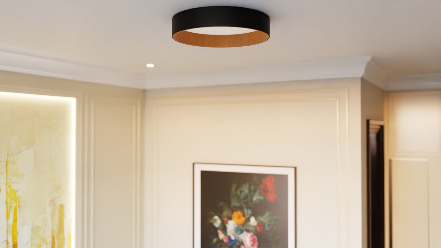 Roof Plafonyer Plain 55