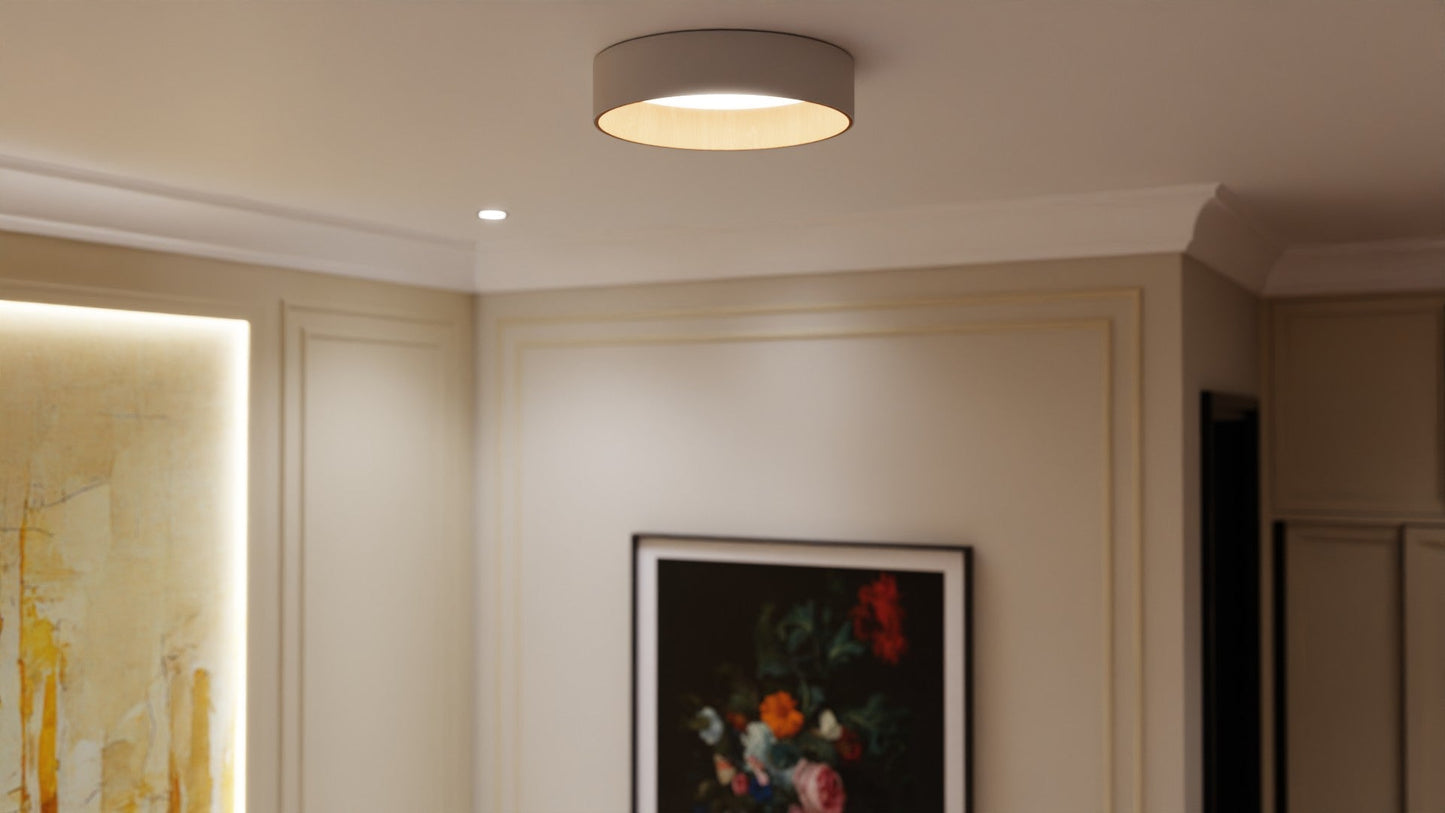 Roof Plafonyer Plain 45