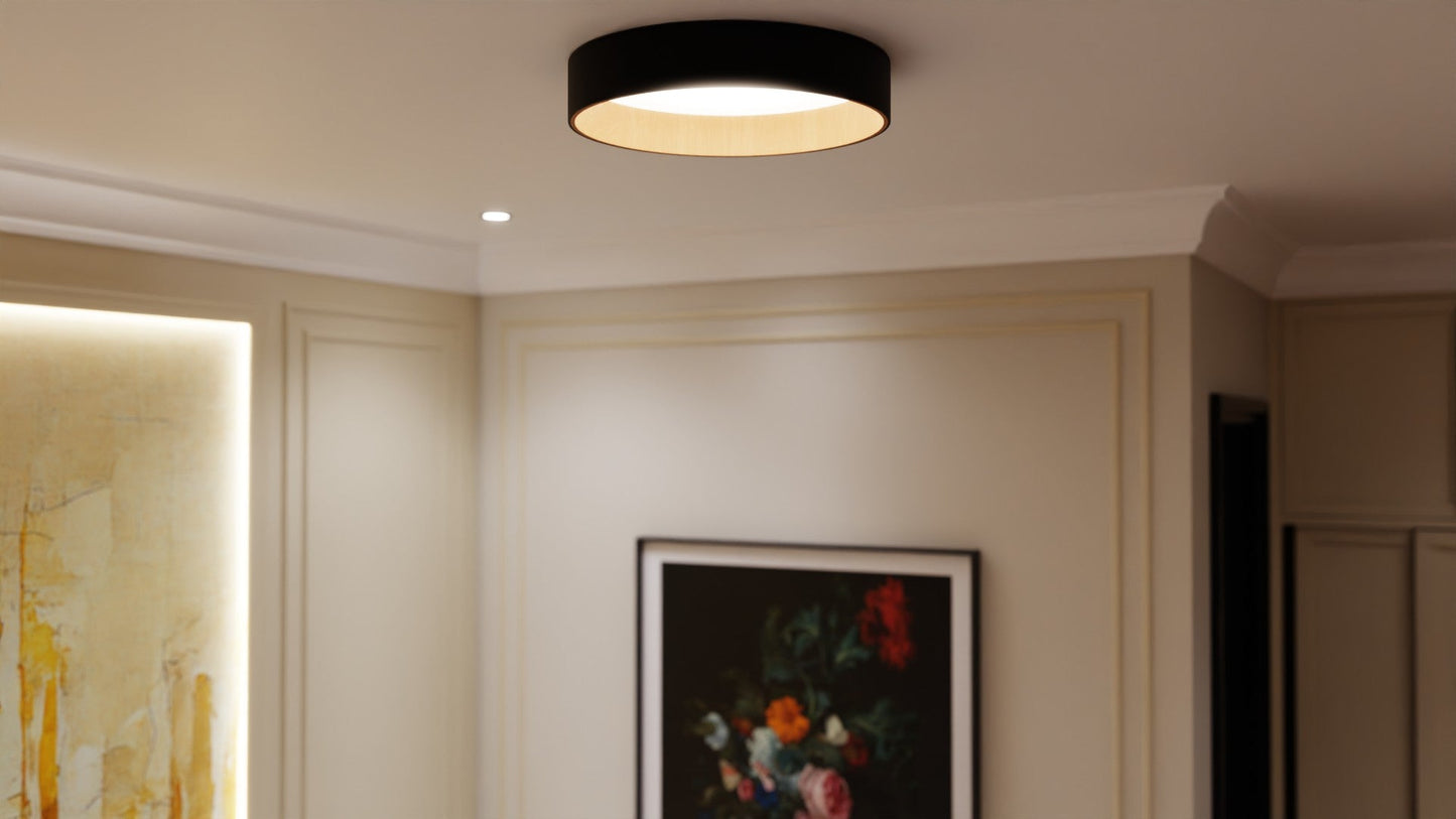 Roof Plafonyer Plain 55