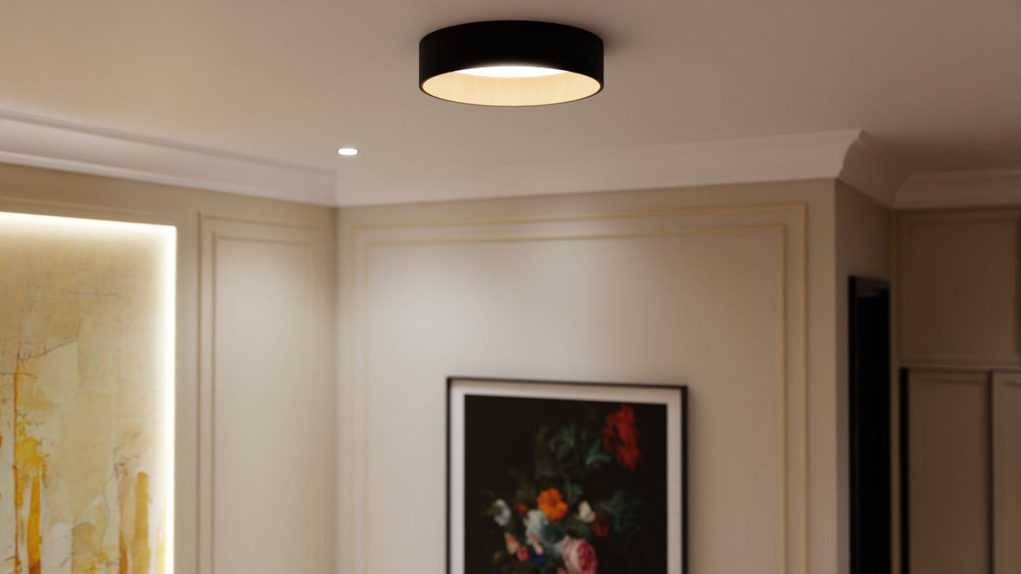 Roof Plafonyer Plain 45