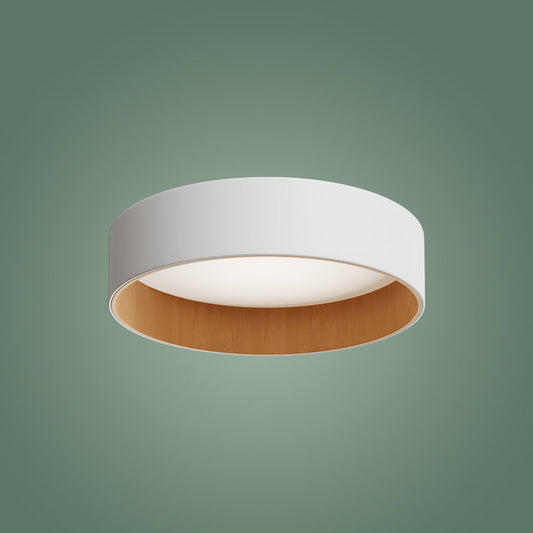 Roof Plafonyer Plain 45